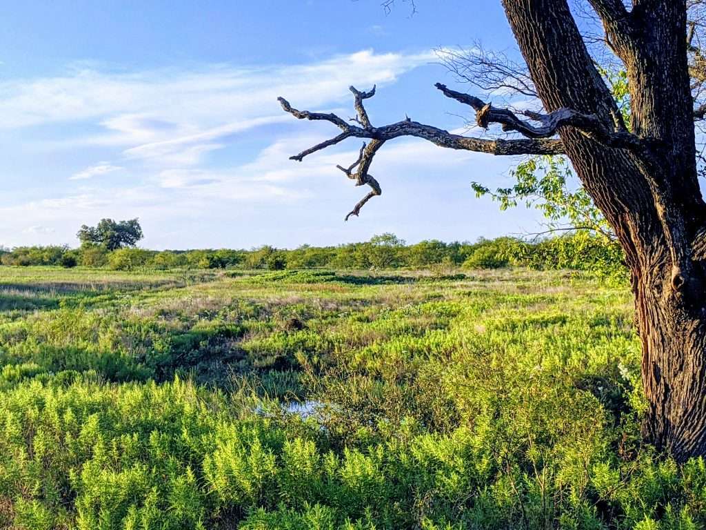Land in Texas and New York