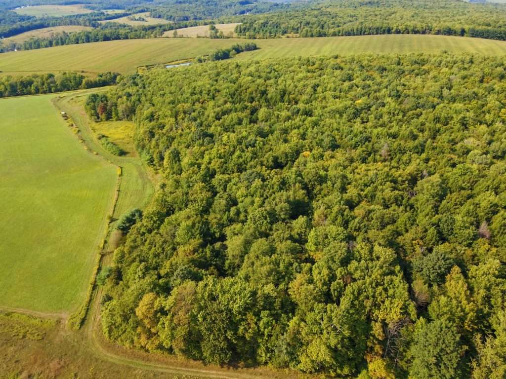 75 acres east of Ithica, New York