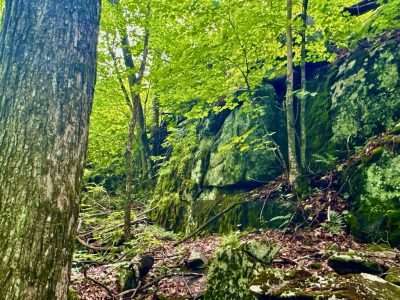 Picture of land with boulders and significant slope.